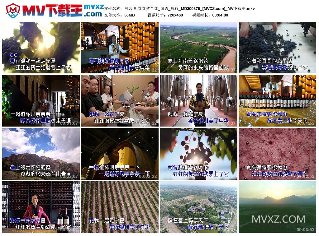 冯云飞-红红贺兰红_国语_流行_MD300878